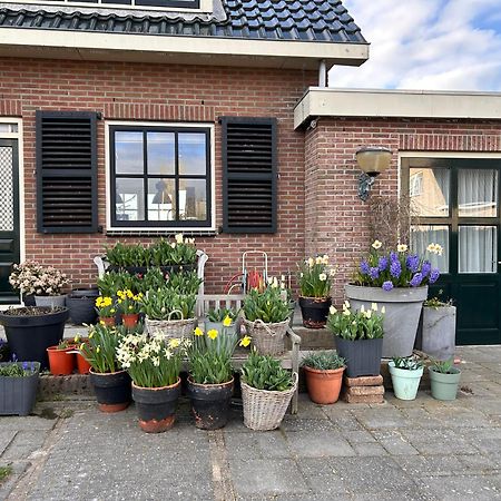 Flowerbed Voorhout Dış mekan fotoğraf