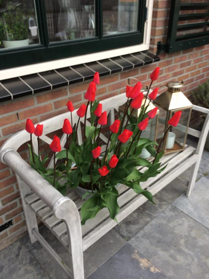 Flowerbed Voorhout Dış mekan fotoğraf