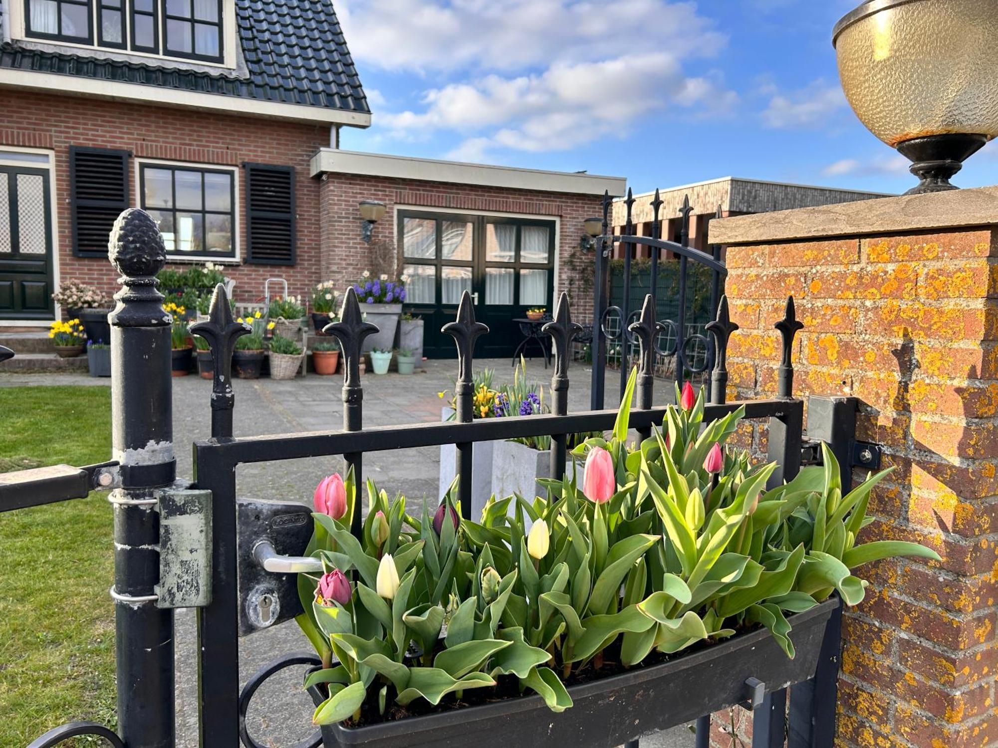 Flowerbed Voorhout Dış mekan fotoğraf